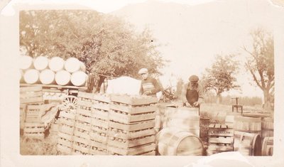 Exhibit photo from Apple Growing in Colborne by Joy Gifford - W.R. Scott Orchard