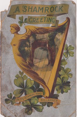 A Shamrock Greeting on the Kenmure Road Killarney Postcard