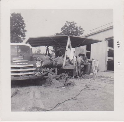 Exhibit, Tobacco Kiln yard, filling the kiln, 1961