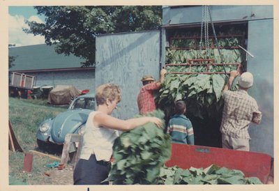 Exhibit, Tobacco Bulk Kiln