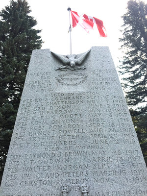 Exhibit, Castleton WWI cenotaph, In Memory (detail)