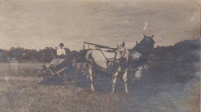 Man working the field with two horses