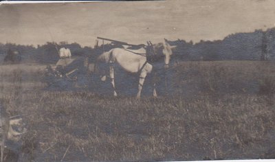 Man working the field with two horses