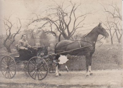 Man driving a horse carriage