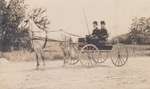 Postcard of two men driving a dapple-grey horse