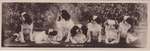 Book postcard of King Charles dogs