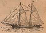 Sketch, newspaper clipping of the Fleetwing schooner, Colborne Women's Institute Scrapbook