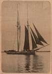Newspaper photograph of the Katie Eccles schooner, Colborne Women's Institute Scrapbook