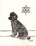 Sketch of poodle by Florence Y. Anderson, Colborne Women's Institute Scrapbook