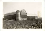 Photograph of Samuel Marvin McComb barn, and McComb family history, Castleton Women's Institute scrapbook