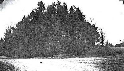 Photograph of Mount Pleasant Cemetery, Castleton Women's Institute scrapbook