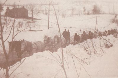 Photograph of horse-drawn snow clearing teams, Dundonald