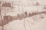 Horse-drawn snow clearing teams, Dundonald, Cramahe Township