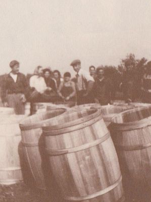 Apple harvesting, Colborne, Cramahe Township