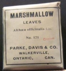 Marshmallow Leaves, Griffis Drug Store, Colborne, Cramahe Township