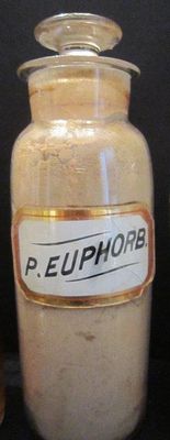 P. Euphorb., Griffis Drug Store, Colborne, Cramahe Township