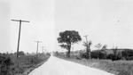 Provincial Highway near Salem, Cramahe Township, 1923-4