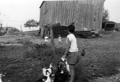 Photograph of a barn, Trenear Road, Cramahe Township