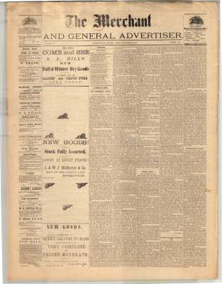 Merchant And General Advertiser (Bowmanville,  ON1869), 18 Dec 1874