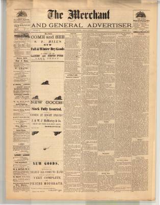 Merchant And General Advertiser (Bowmanville,  ON1869), 1 Jan 1875