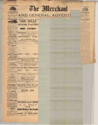 Merchant And General Advertiser (Bowmanville,  ON1869), 7 May 1875