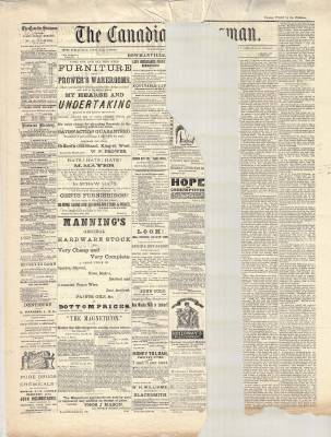 Canadian Statesman (Bowmanville, ON), 9 Jul 1880