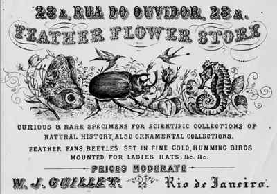 Business card of Walter John Guillet of Rio de Janeiro