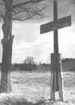 Memorial Cross, Harwood, Ontario