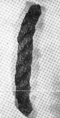 Rope from the hanging of Dr. William King