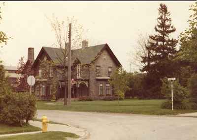 Cedar Hedge