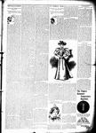 Fashion Plate 1, 1 Mar 18951 Mar 1895, p. 7, column 4-5