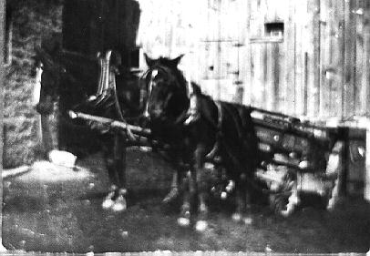 Horses and Wagon