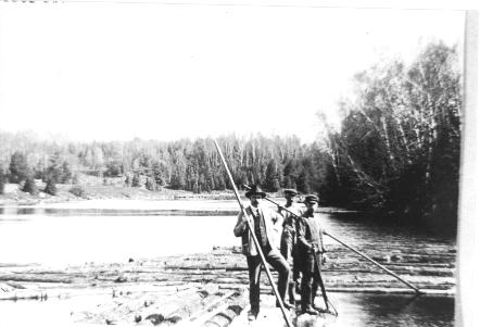 Logging on the pond