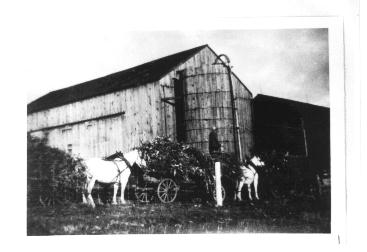 Brownridge Farm, 1926