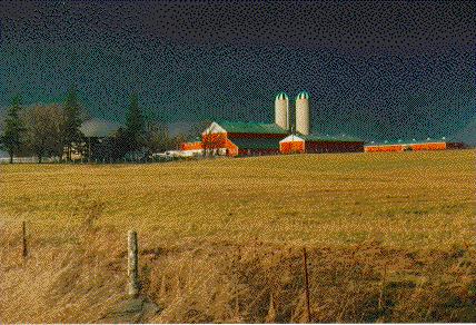 Farm of Vern Picket, 1990