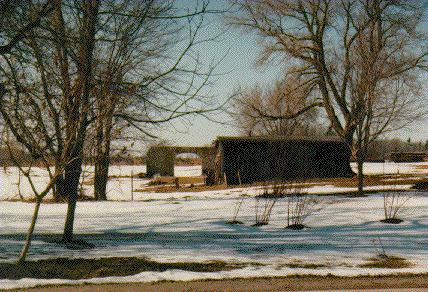 Demolished Shed on Maple Ave. 1994