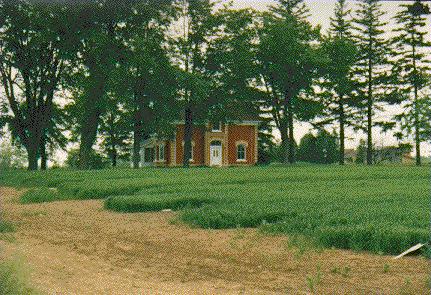 Two Storey Brick Home