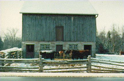 House on Trafalgar Road 1988