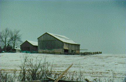 House on Trafalgar Road 1988