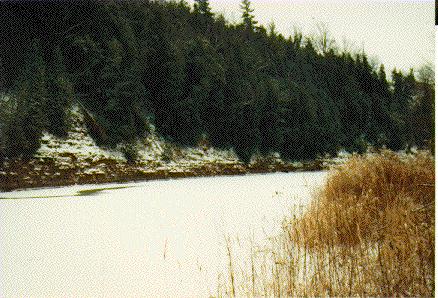 River view near the Barber Dynamo 1990