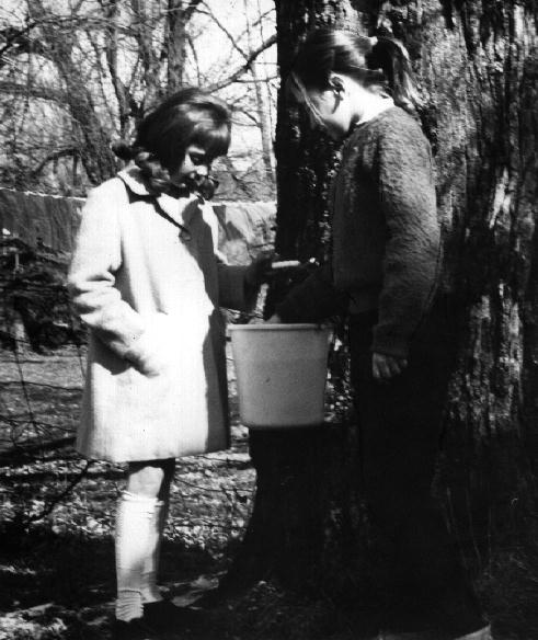 Shelly Bond & Jean Currie Tapping Sap