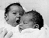 Larocque & Doucette New Year Babies, 1965