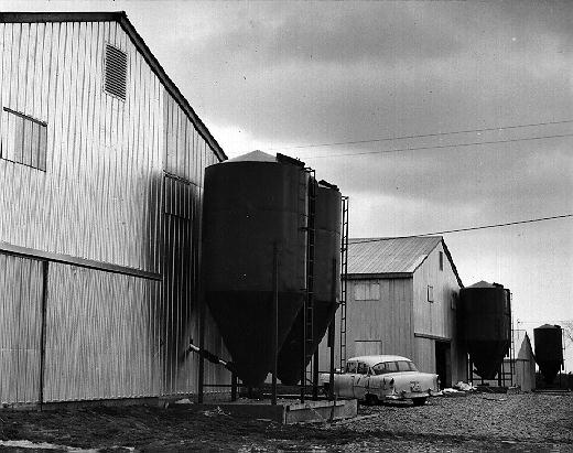 Construction of Turkey Houses, 1965