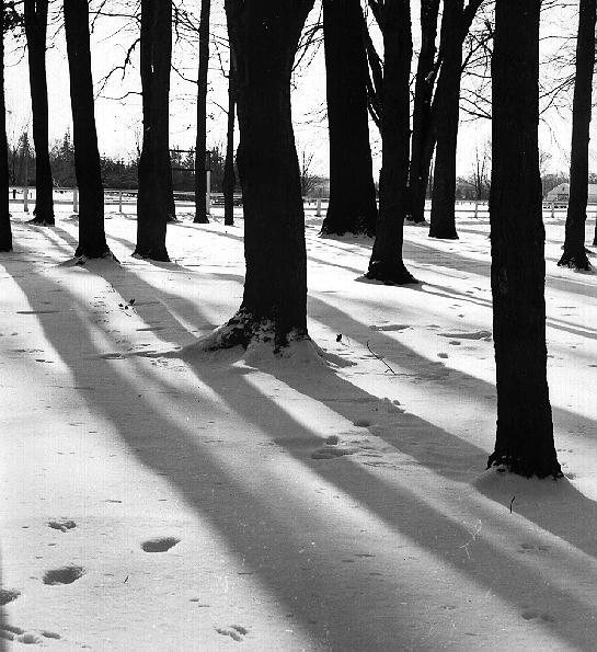 Fairgrounds in the winter, 1965