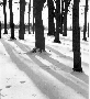 Fairgrounds in the winter, 1965