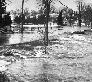 Flood Damage, 1965