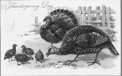 Thanksgiving  Postcard 1910