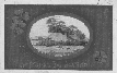 St Patrick's Day  Postcard 1917