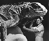 Joanne Bergan & Harvey the Iguana,1962