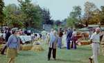 Fall Fair, Cattle Show, 1973